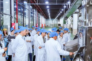 小罐茶连获七项殊荣，以卓越品质实力诠释“食以安为先”的茶叶安全新标杆