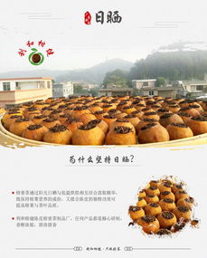 江门新会利和柑健 匠心打造陈皮柑普茶制品新标杆