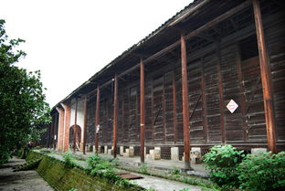 百年匠心，一盏安化 安化茶厂的传承与新生