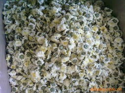 黄山市歙县方村茶菊精制加工厂花果茶系列产品全览